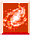  [Science Activities] 