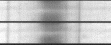 \begin{figure}
\epsscale{.40}
\plotone{boulatova3.eps}\end{figure}