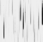 \begin{figure}
\plotone{polcarov_1.eps}\end{figure}